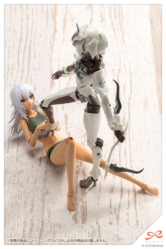 壽屋《創彩少女庭園》Wolf-san 小麥肌登場!Training Wolf-san 塑膠模型今日開賣