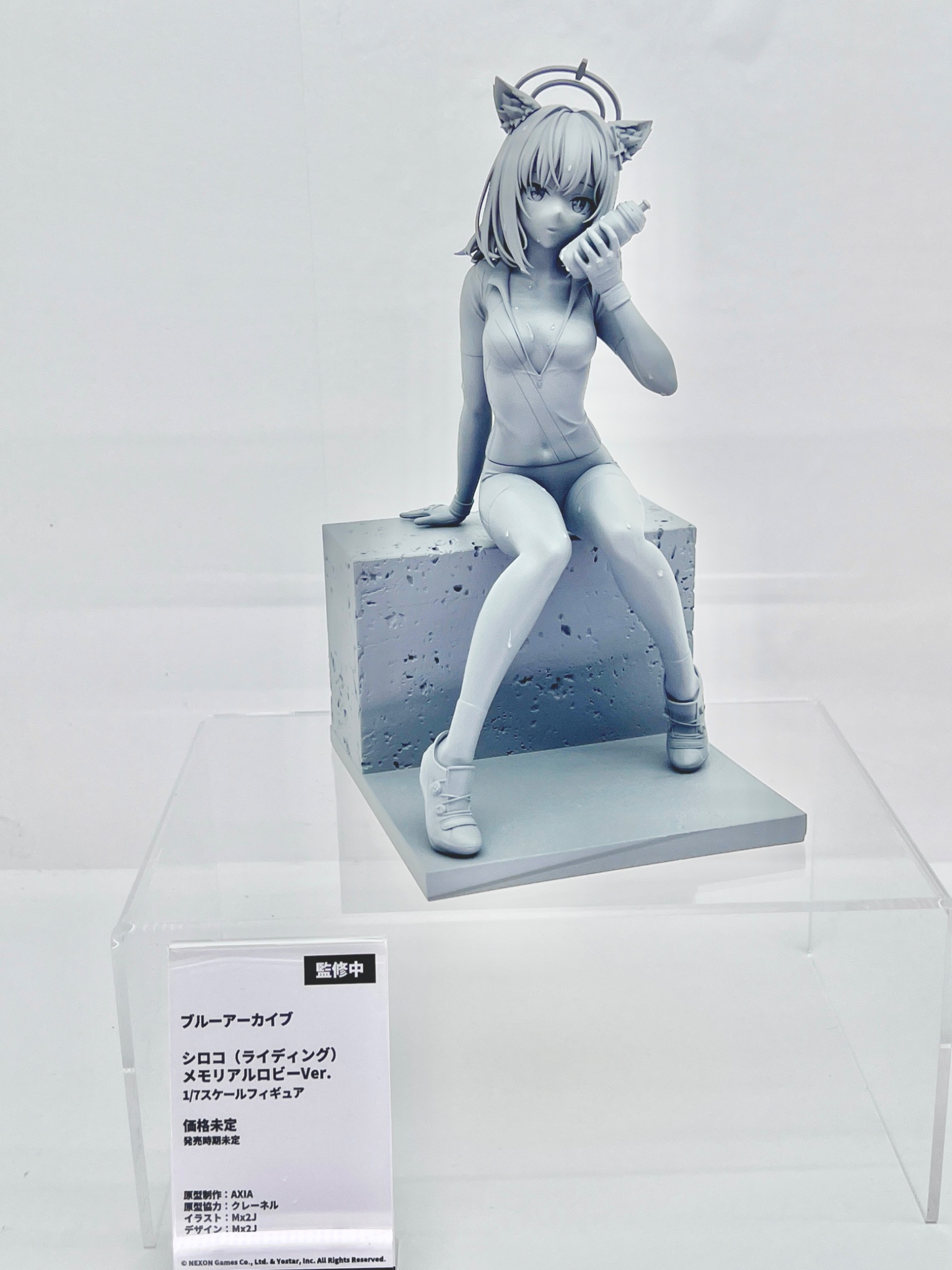 WonFes 2026 夏 Aniplex 聯手 Claynel 展示多款動漫新作模型原型