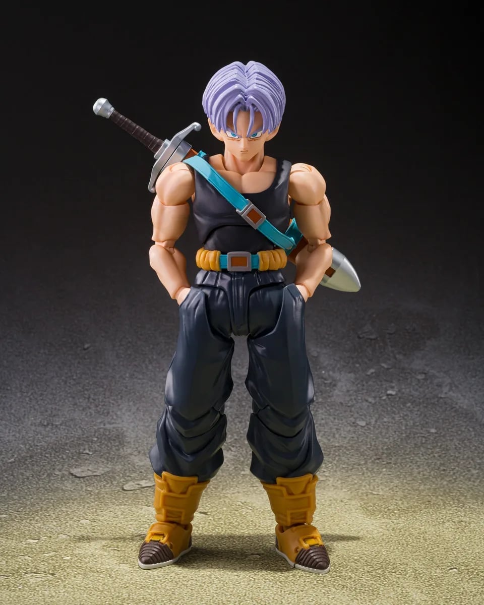 S.H.Figuarts七龙珠Z 特南克斯贝吉塔Z战士版9/1开订