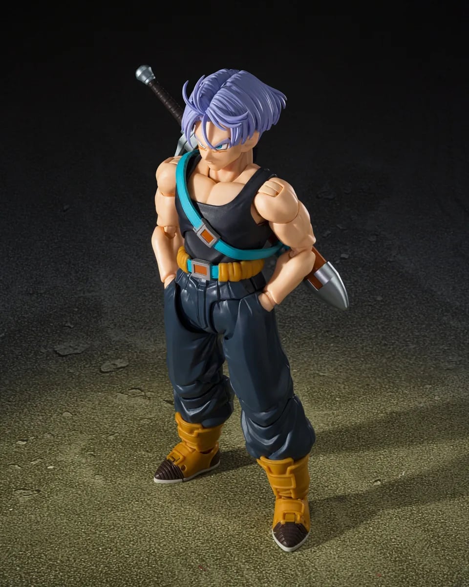 S.H.Figuarts七龙珠Z 特南克斯贝吉塔Z战士版9/1开订