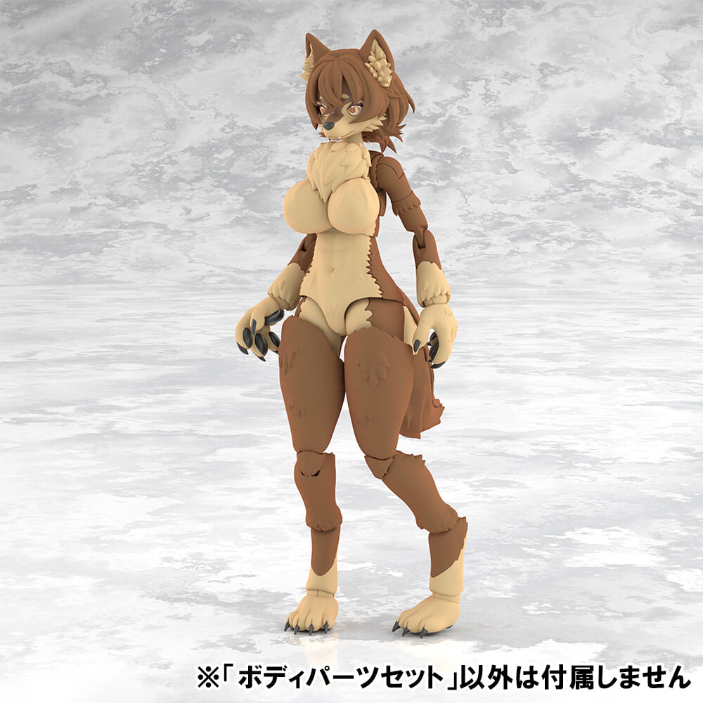 Aoshima《kemopla》獸人組裝模型 Ibex 開放預購 一盒雙素體附可動眼 預計 2027 年發售