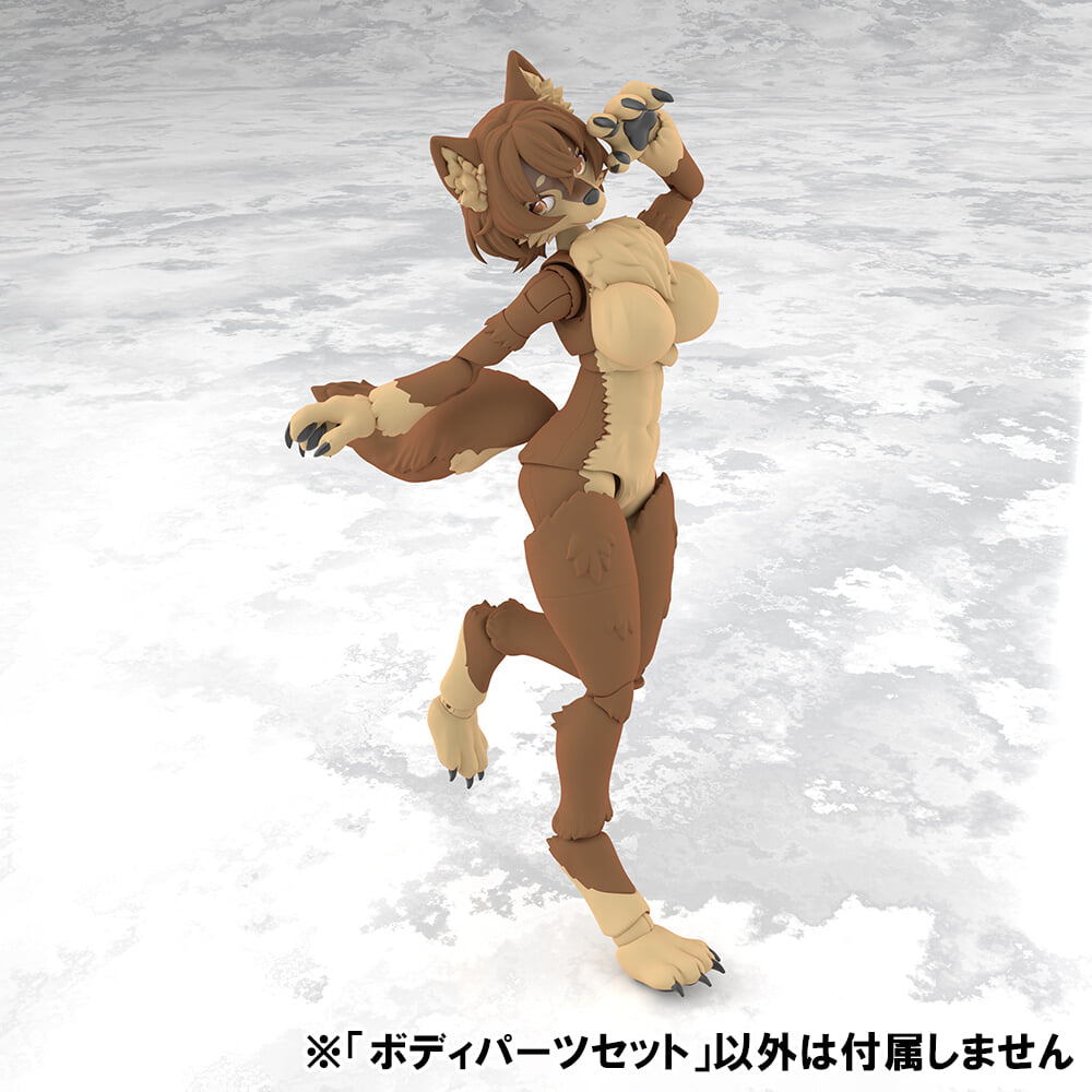 Aoshima《kemopla》獸人組裝模型 Ibex 開放預購 一盒雙素體附可動眼 預計 2027 年發售
