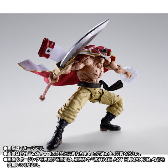 S.H.Figuarts《航海王》白鬍子頂上決戰模型 10 月預訂 布製披風加果實特效還原四皇威壓