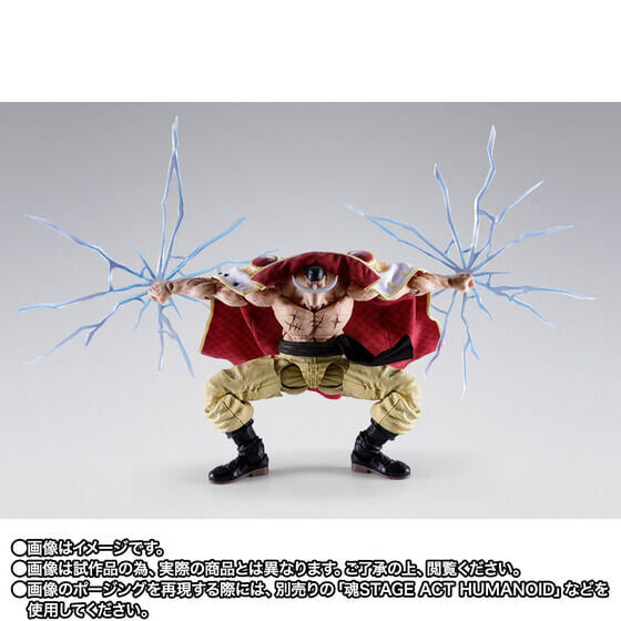 S.H.Figuarts《航海王》白鬍子頂上決戰模型 10 月預訂 布製披風加果實特效還原四皇威壓