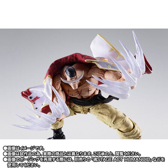 S.H.Figuarts《航海王》白鬍子頂上決戰模型 10 月預訂 布製披風加果實特效還原四皇威壓