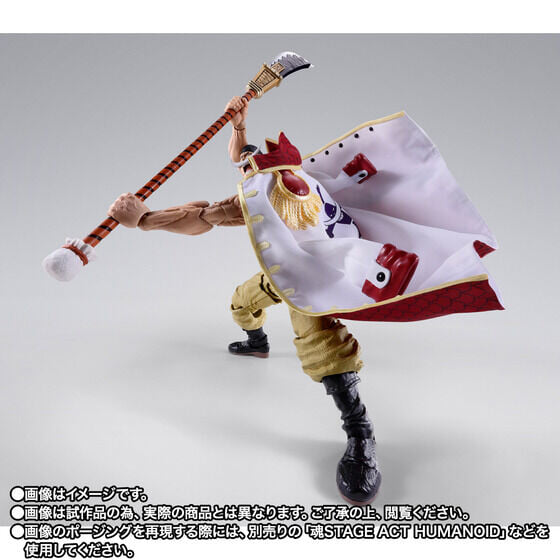 S.H.Figuarts《航海王》白鬍子頂上決戰模型 10 月預訂 布製披風加果實特效還原四皇威壓