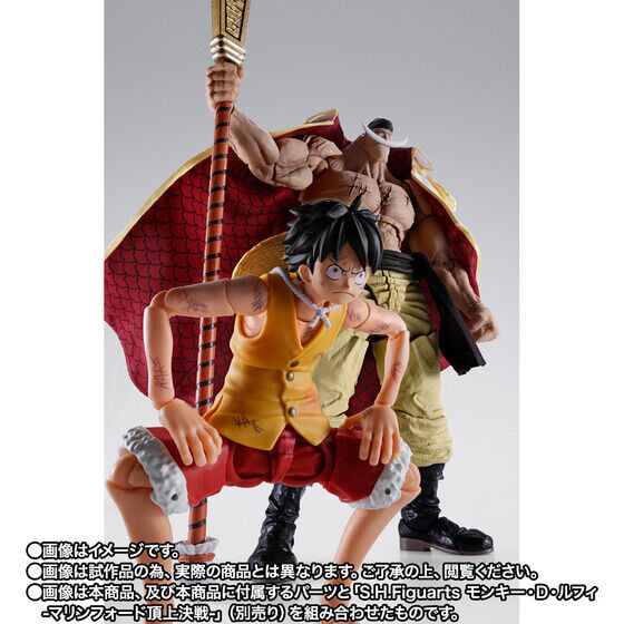 S.H.Figuarts《航海王》白鬍子頂上決戰模型 10 月預訂 布製披風加果實特效還原四皇威壓