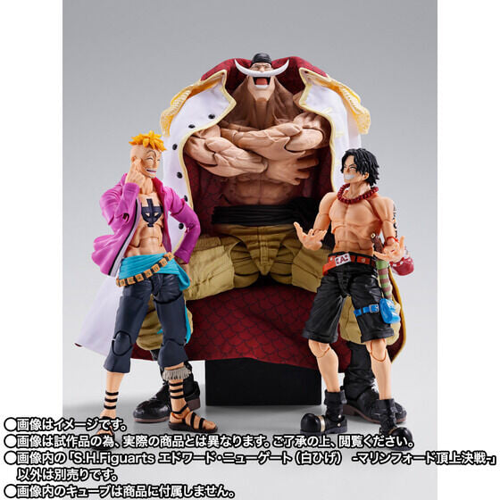 S.H.Figuarts《航海王》白鬍子頂上決戰模型 10 月預訂 布製披風加果實特效還原四皇威壓
